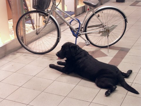 ぺたり 2004/10/10-1