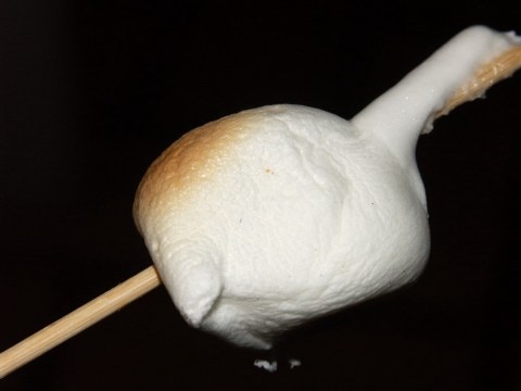 マシュマロ焼き 2004/10/11-1