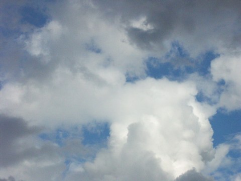 白と黒 2004/11/01-1