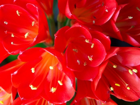 たまには 2005/04/17-1