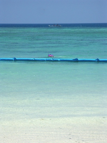 石垣島 その12 2005/08/05-1